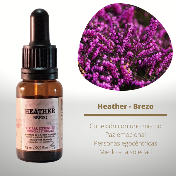 Esencia floral de Heather (Brezo)