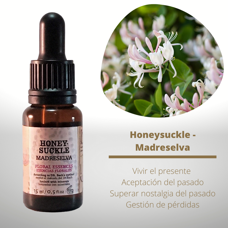 Esencia floral de Honeysuckle (Madreselva)