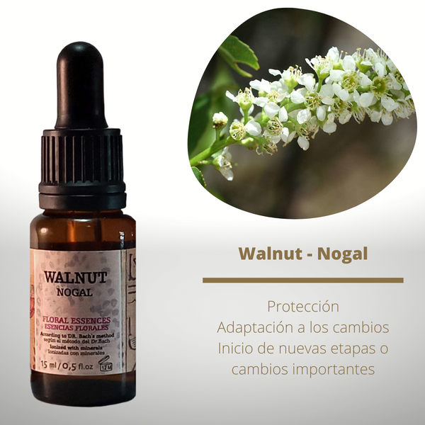 Esencia floral de Walnut (Nogal)