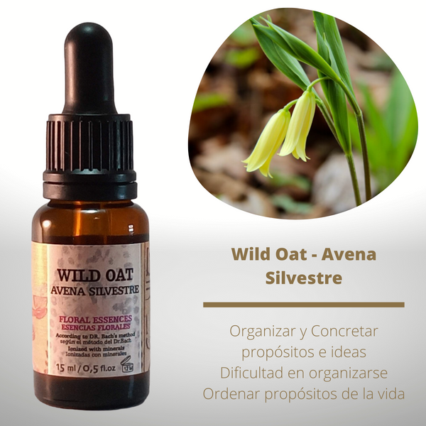 Esencia floral de Wild Oat (Avena Silvestre)