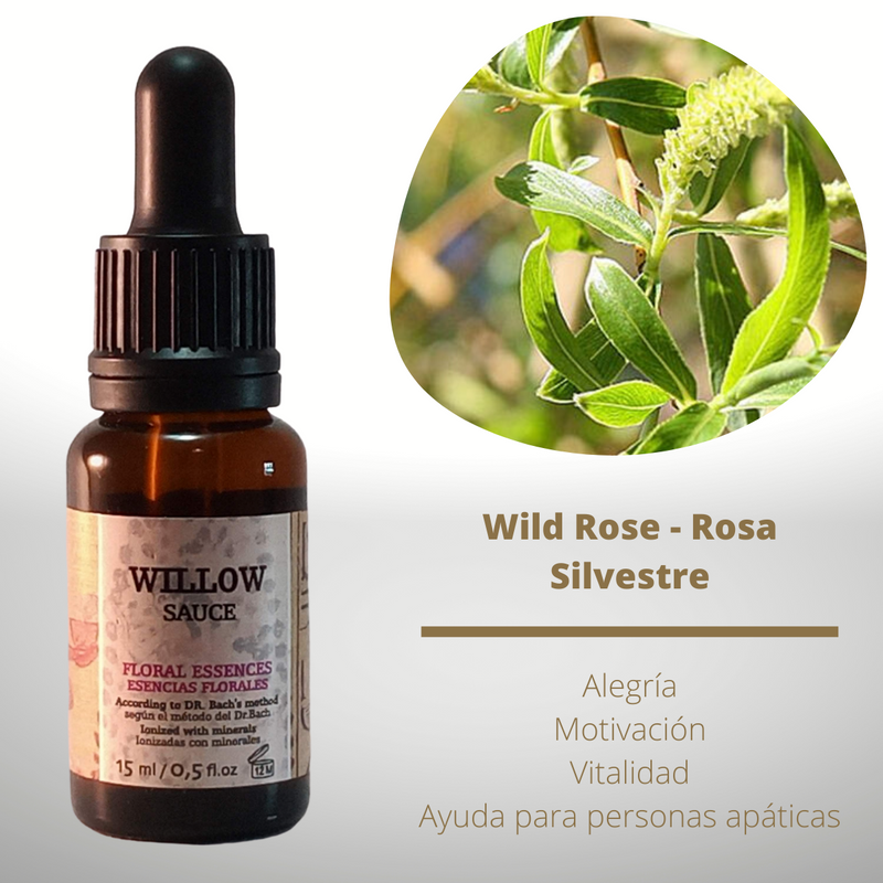 Esencia floral de Willow (Sauce)