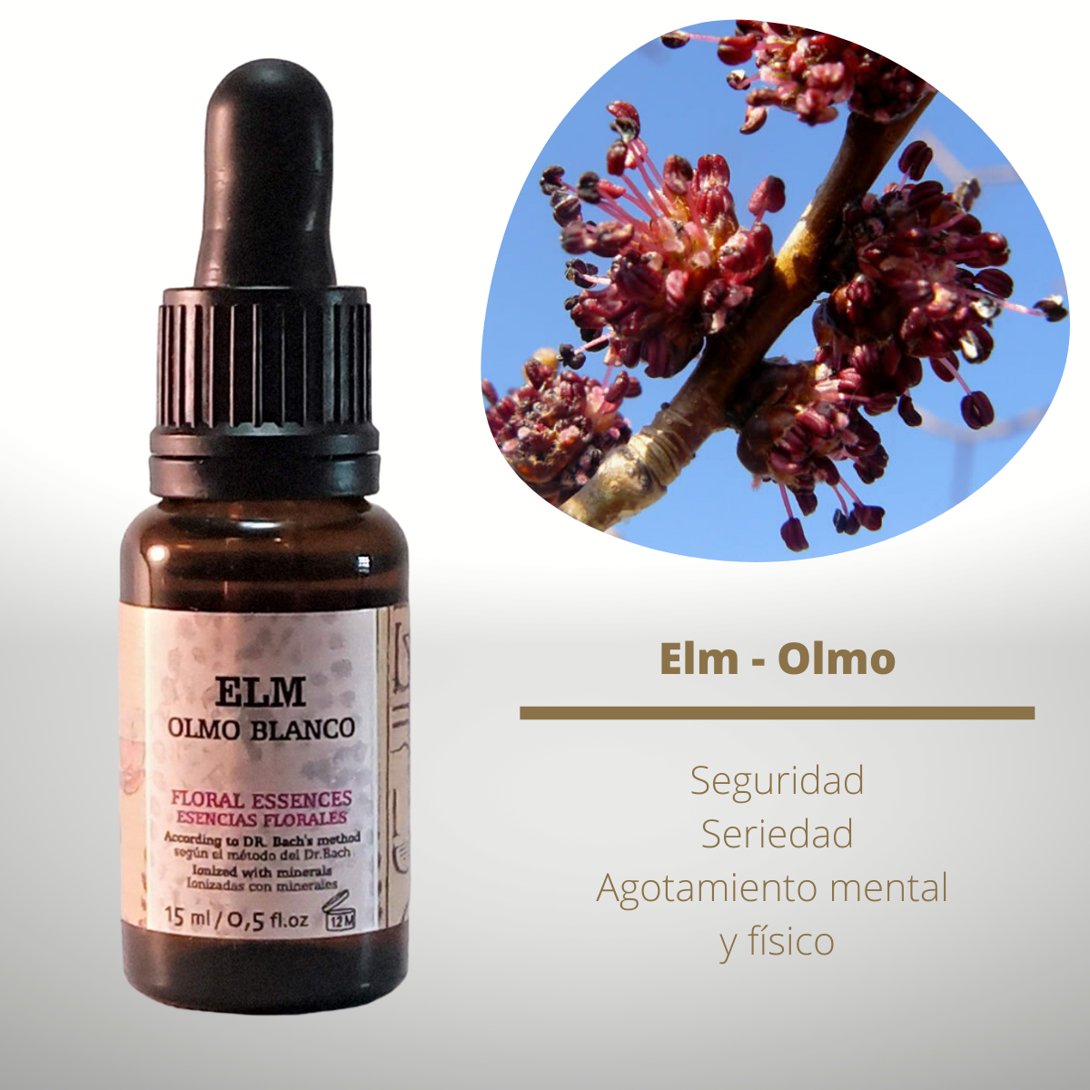 Elm【 Las 38 Flores de Bach originales】3x2 en GOLDEN PYRAMIDE