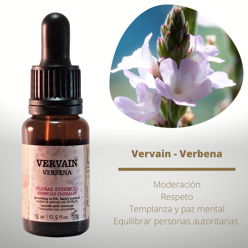 Esencia floral de Vervain (Verbena)